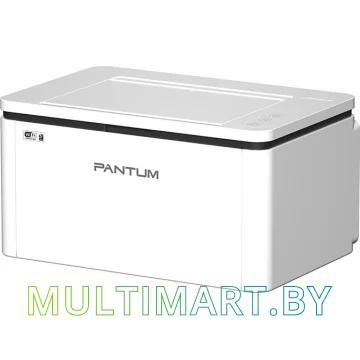 Принтер Pantum BP2300NW картинка 4